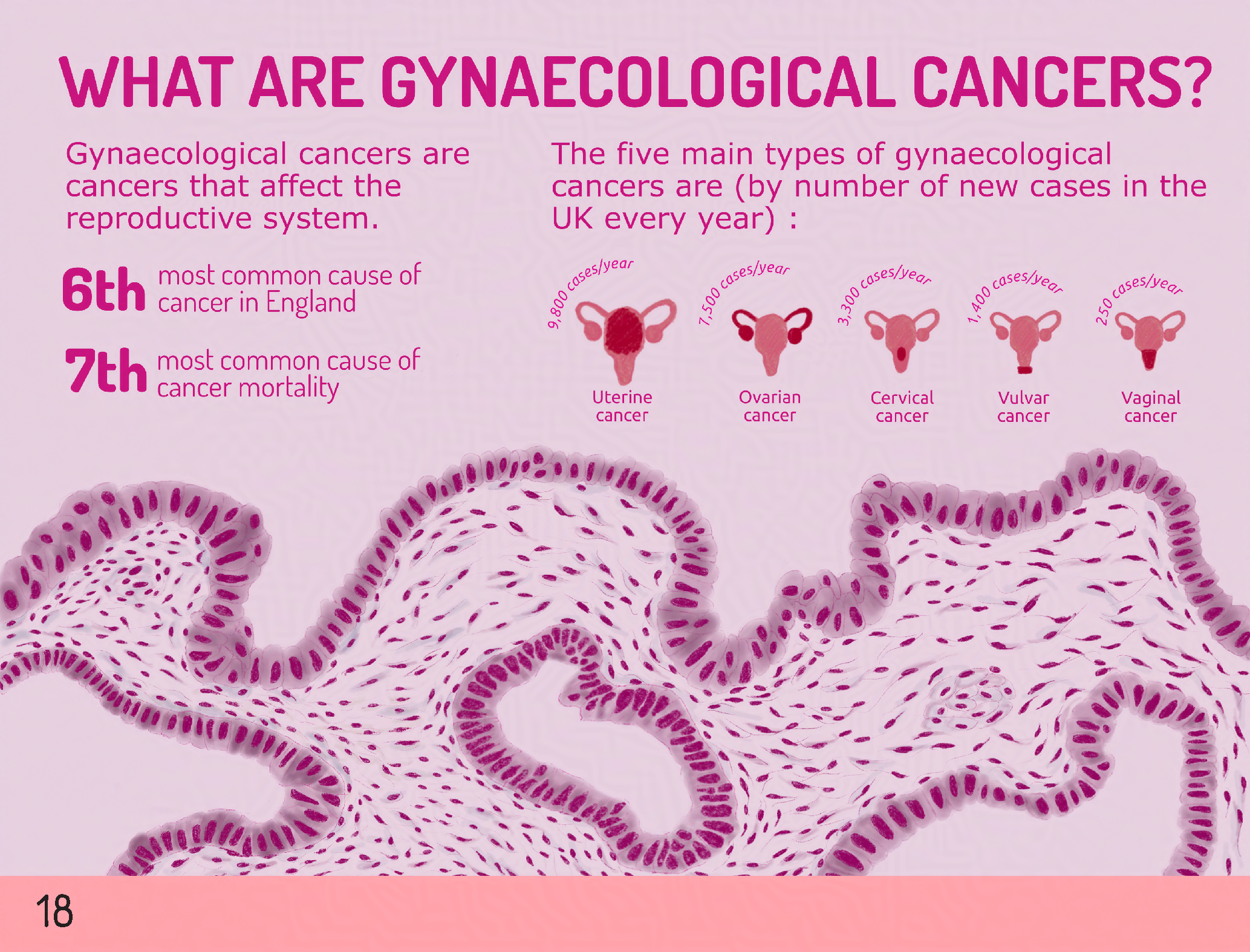 pelvicmatters_Page_20