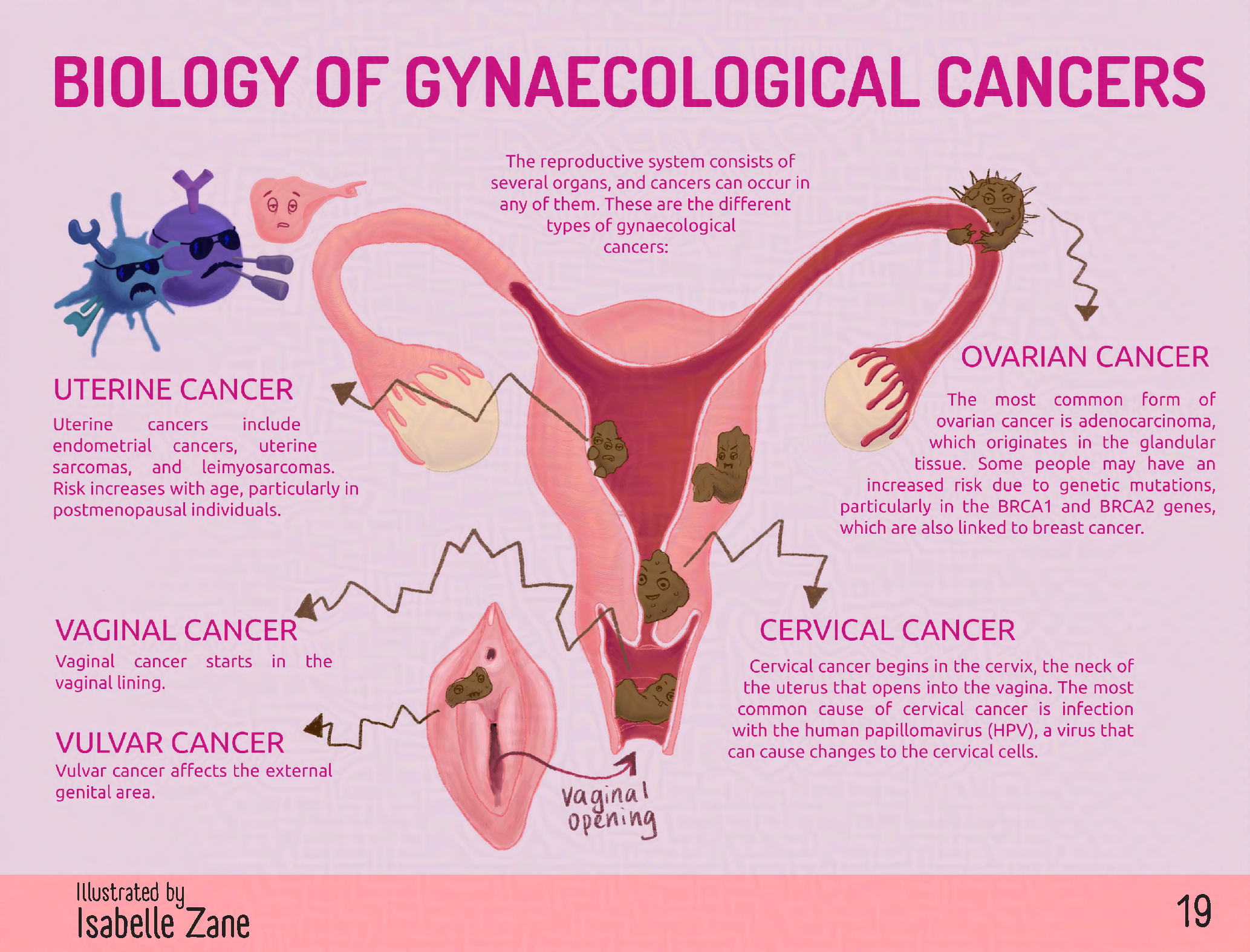 pelvicmatters_Page_21